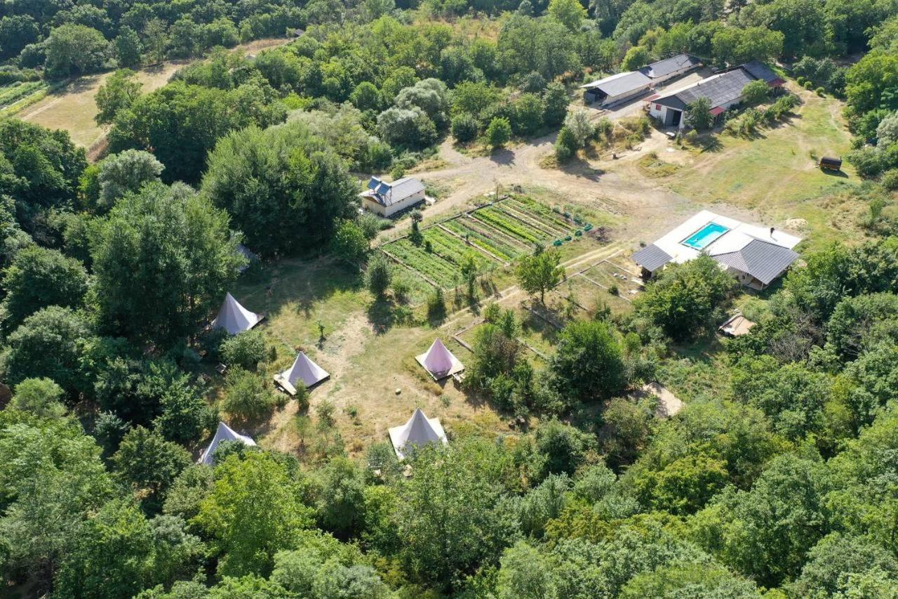 Asureti Gipsy Village Park Hotel מראה חיצוני תמונה